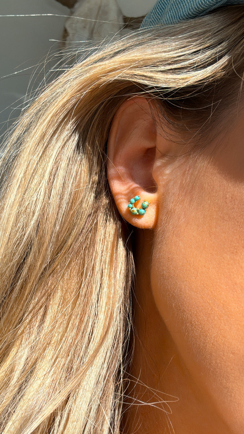 Good Luck Earrings - Turquoise Stones