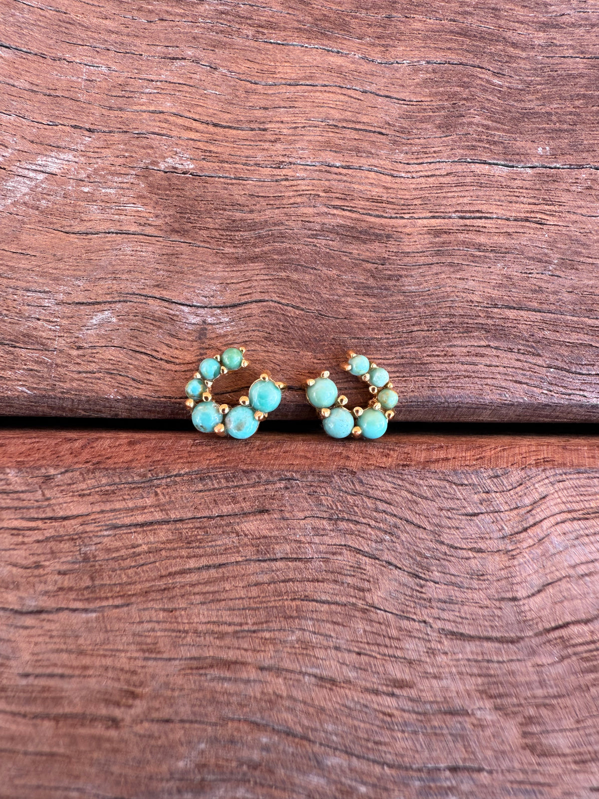 Good Luck Earrings - Turquoise Stones