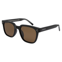 Oneday Sunglasses - Parker (Black/Brown)
