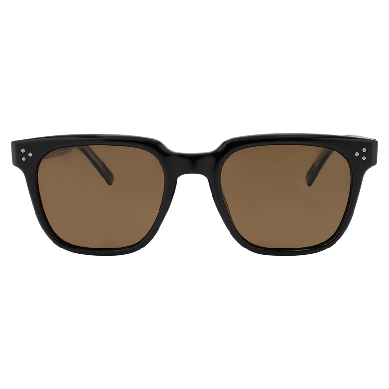 Oneday Sunglasses - Parker (Black/Brown)