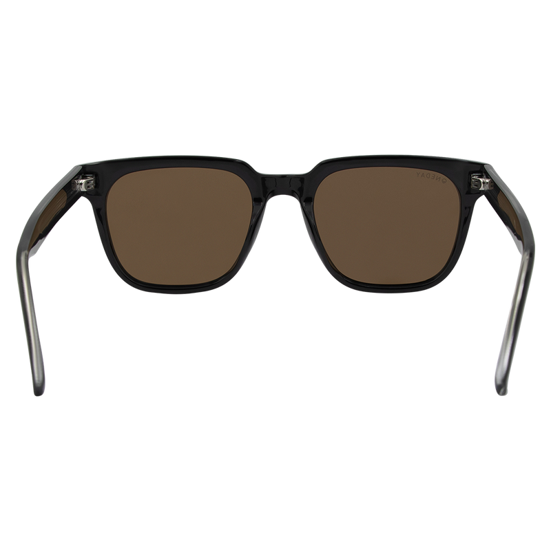 Oneday Sunglasses - Parker (Black/Brown)