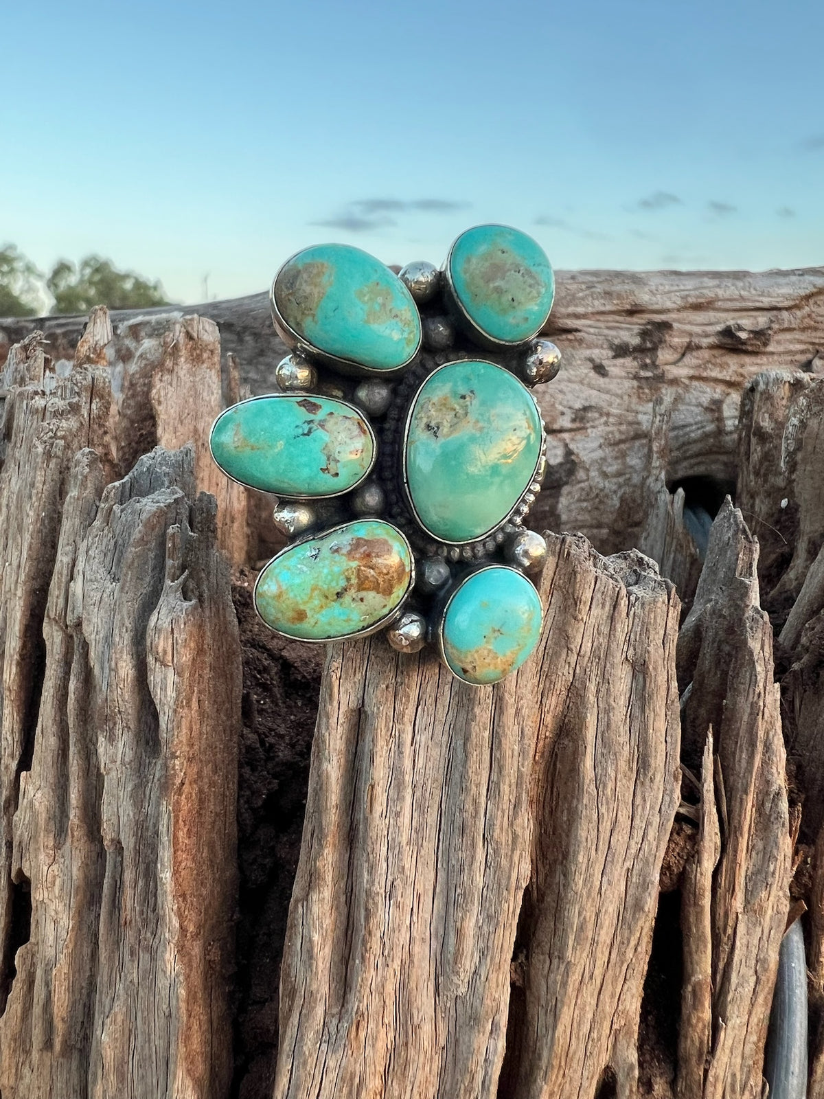 Wild Rag Slide - Oval Turquoise Cluster