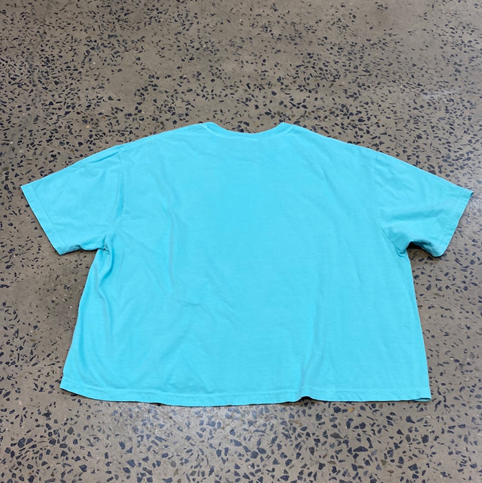 Kimes Ranch Tee - Psyche Tour (Mint)