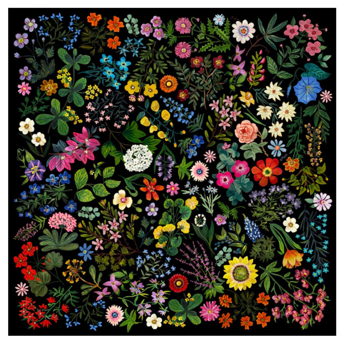 Western Wild Rag - Pressed Flowers