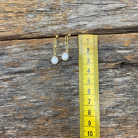 Andie Freshwater Pearl Earrings - Gold