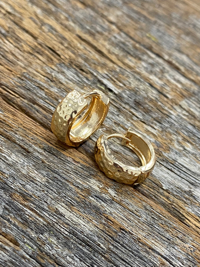 Amanda Hoop Earrings - Gold