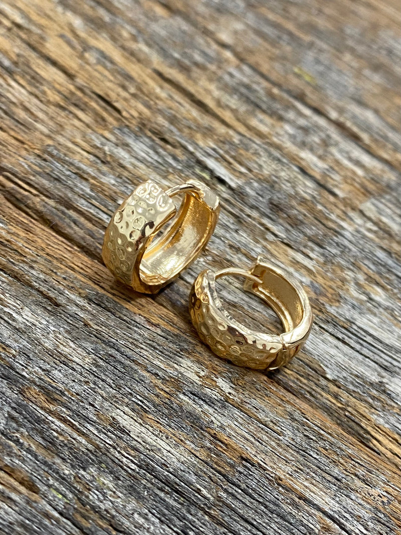 Amanda Hoop Earrings - Gold