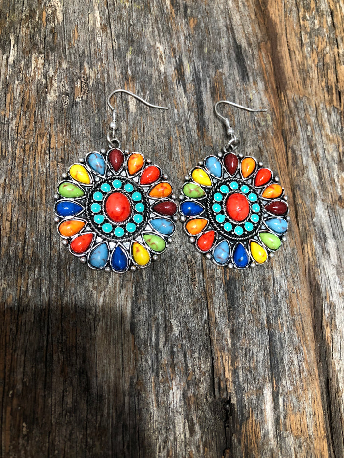 Western Earrings - Multicolour Earring