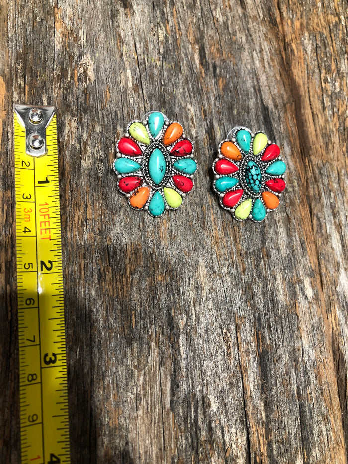 Western Earrings - Multicolour Oval