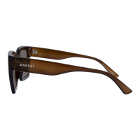 Oneday Sunglasses - Rhodes (Brown)
