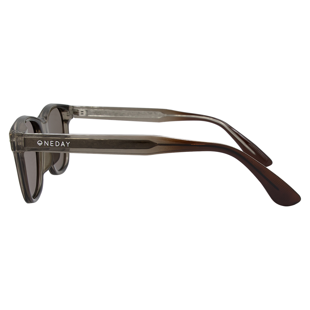 Oneday Sunglasses - Halston (Olive Brown)