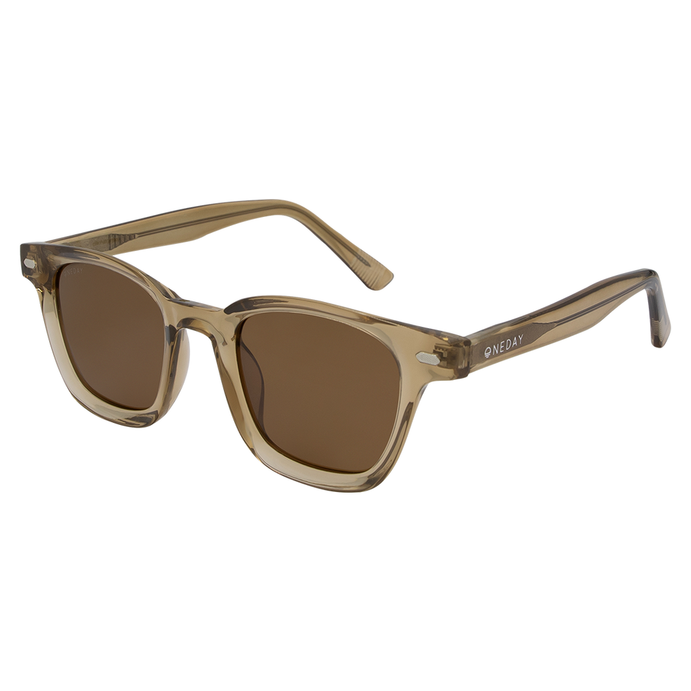 Oneday Sunglasses - Aspen (Brown)