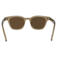 Oneday Sunglasses - Aspen (Brown)