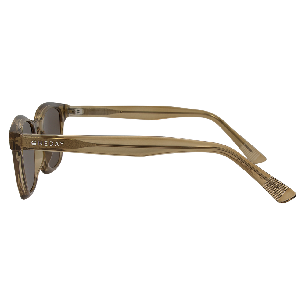 Oneday Sunglasses - Aspen (Brown)