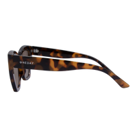 Oneday Sunglasses - Winona (Tortoise Brown)