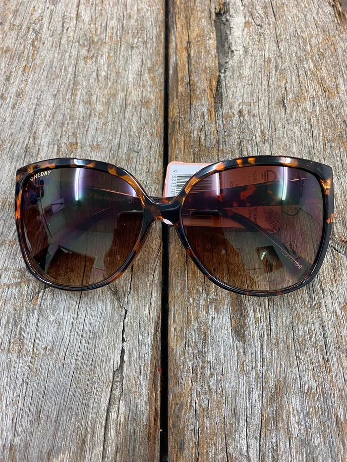 Remember the Name Sunglasses - Tort Brown