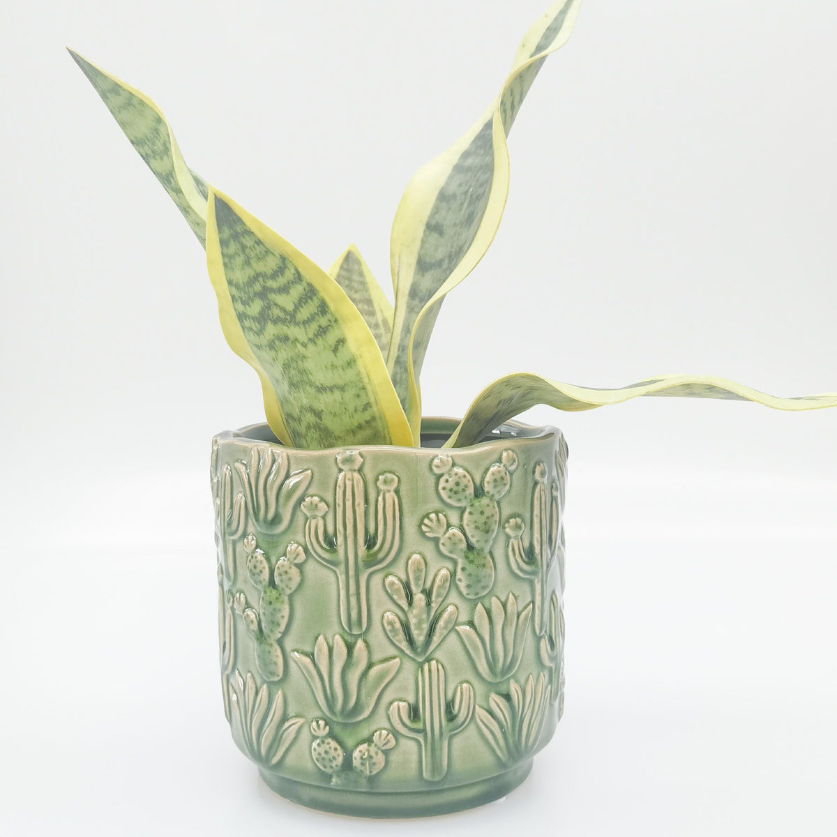 Planter - Green Cactus