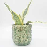 Planter - Green Cactus