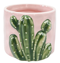 Planter - Pink Cactus