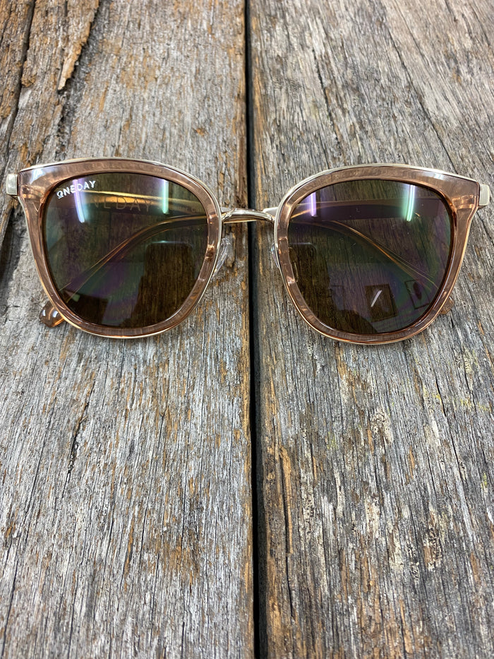 Jet Setter Sunglasses - Brown and Brown